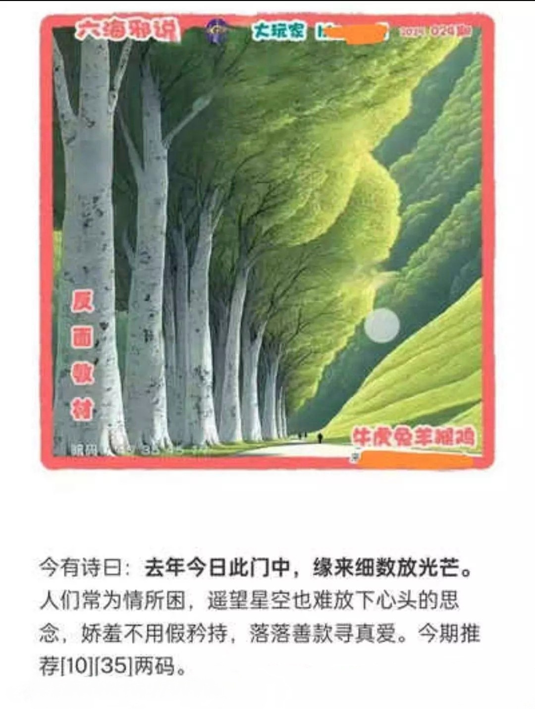 1000039196.jpg