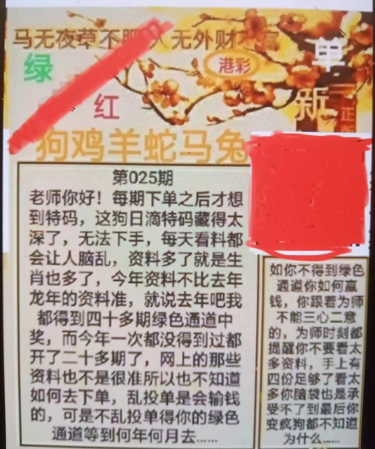 1000039367.jpg