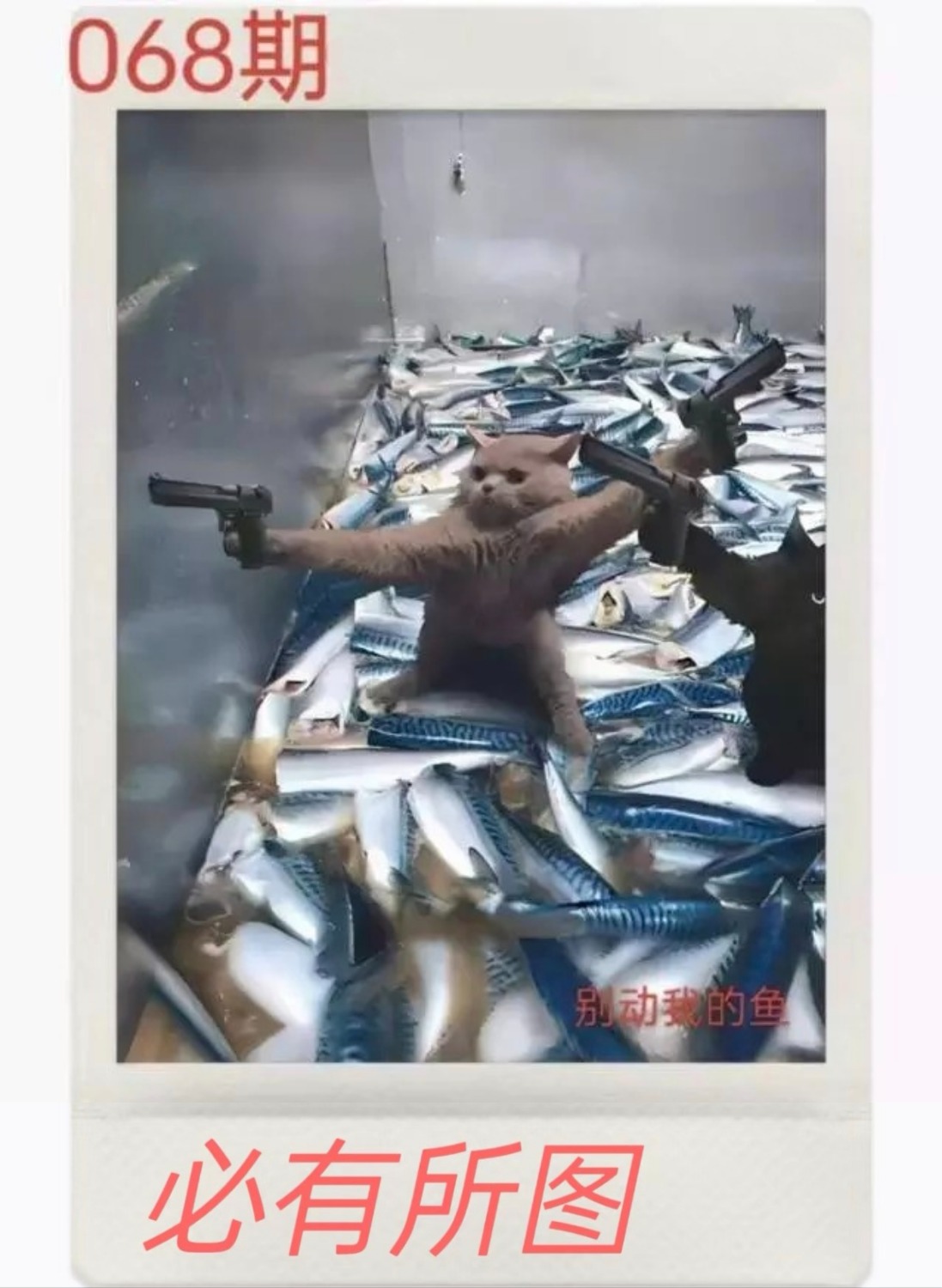 1000039670.jpg