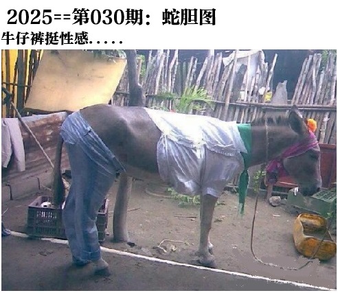 0.jpg