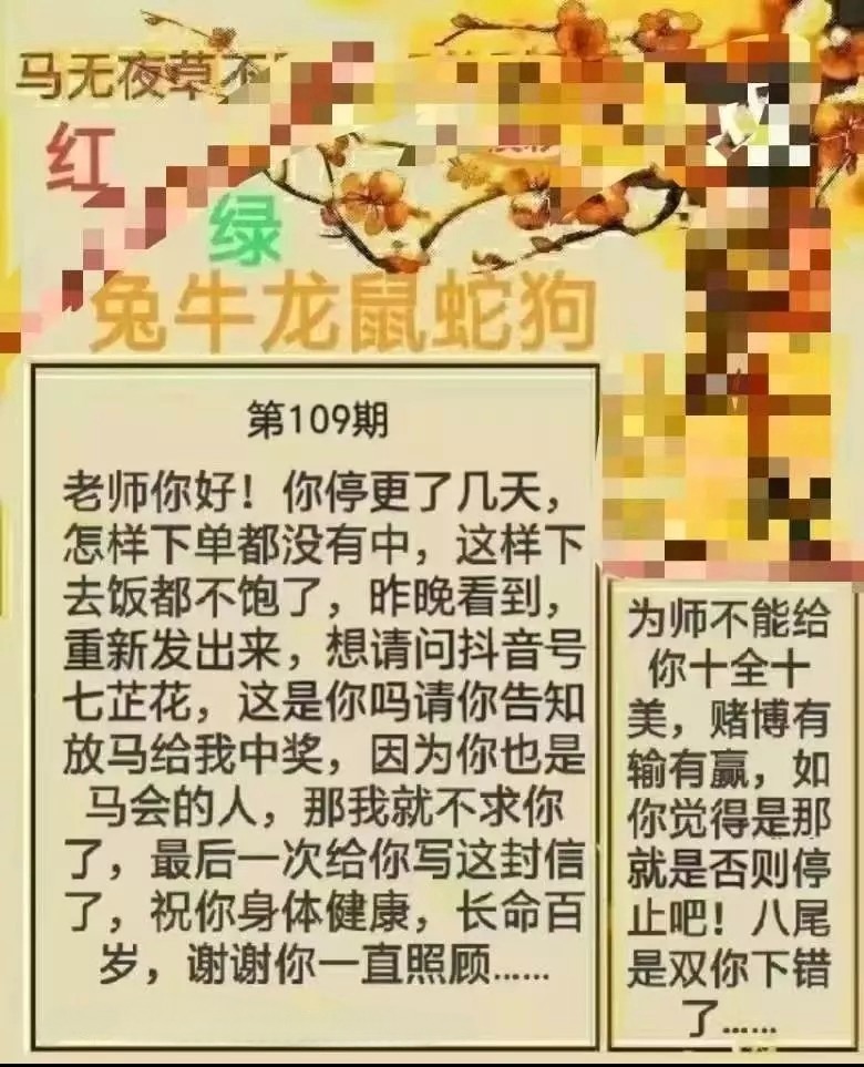 1000046449.jpg